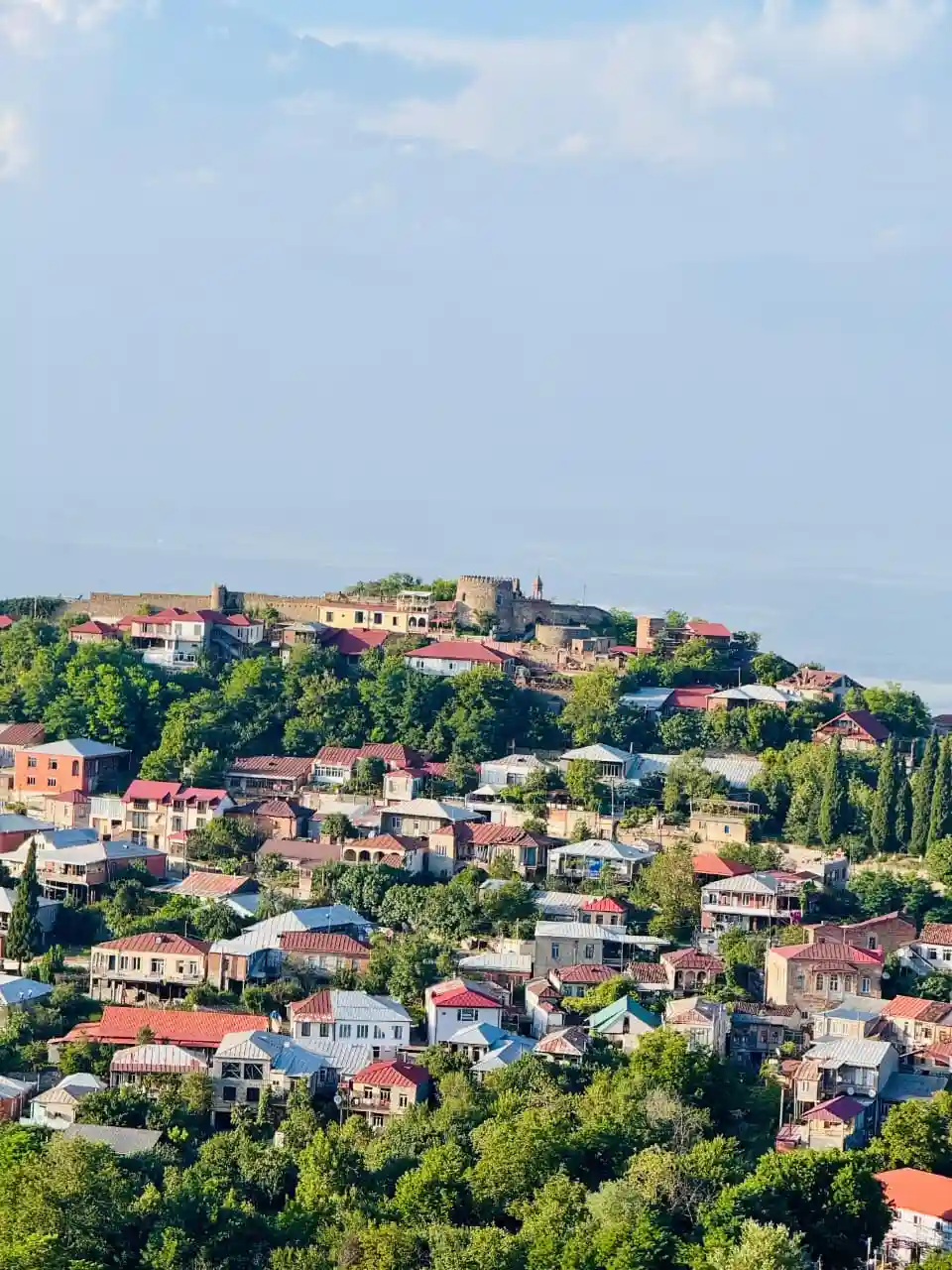 One of the best digital marketer in Thrissur Captured "A hillside town with colorful houses surrounded by lush green trees under a clear sky."