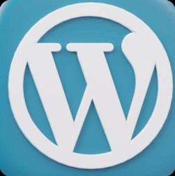 Wordpress tool used by Best Digital Marketer in Thrissur